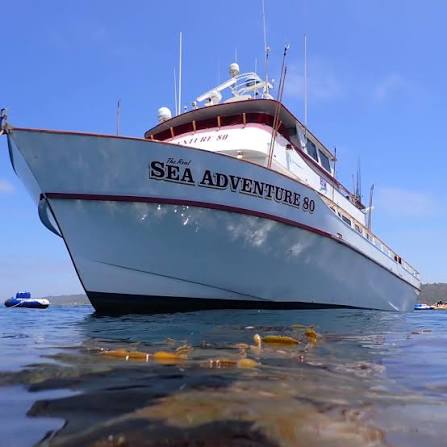 Sea Adventure 80 2 Day